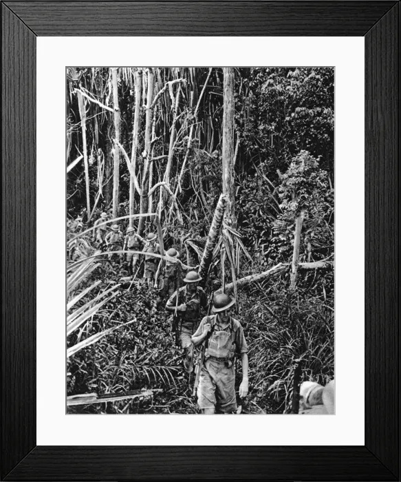 Framed Print : British troops train in Malaya