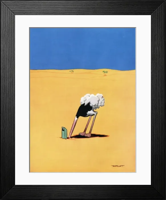 Framed Print : Ostrich by Mallett