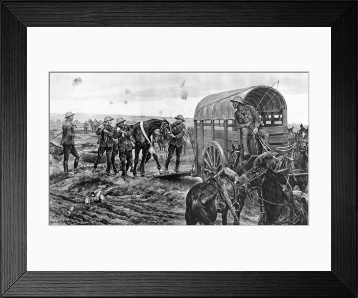 Framed Print : Ambulance for wounded horses, World War One Framed Print : Ambulance for wounded horses, World War One