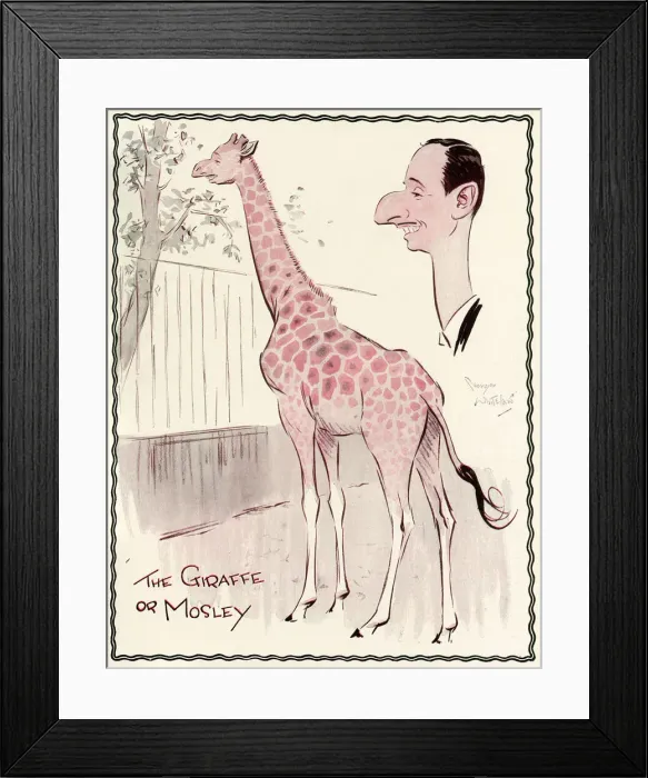 Framed Print : Oswald Mosley as a giraffe by George Whitelaw Framed Print : Oswald Mosley as a giraffe by George Whitelaw