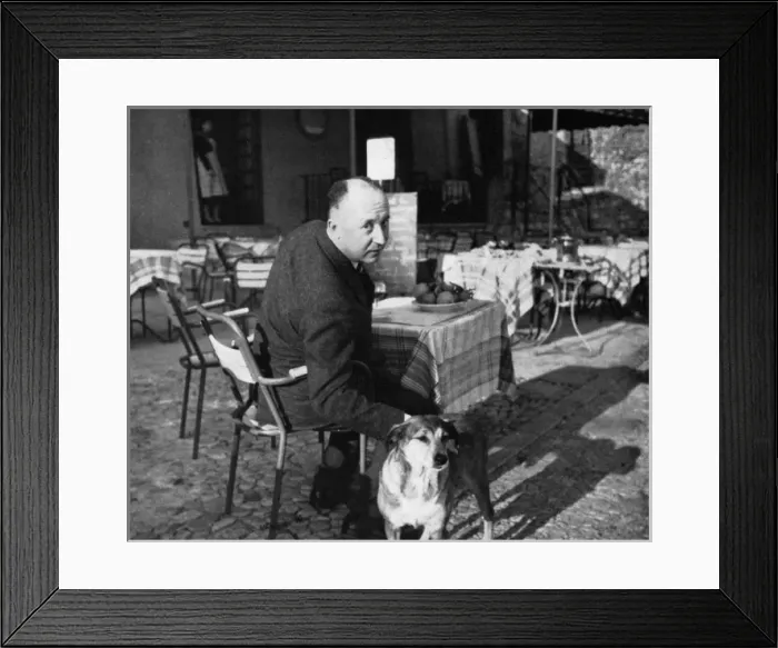 Framed Print : Christian Dior Framed Print : Christian Dior