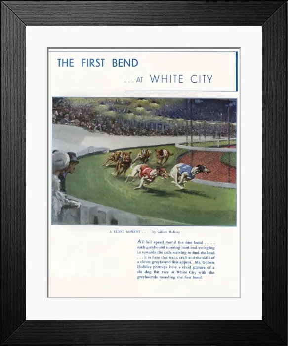 Framed Print : Greyhounds at White City Framed Print : Greyhounds at White City