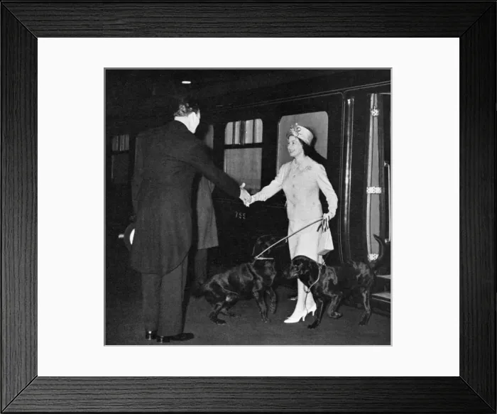 Framed Print : Queen Elizabeth II returns from Balmoral with dogs Framed Print : Queen Elizabeth II returns from Balmoral with dogs