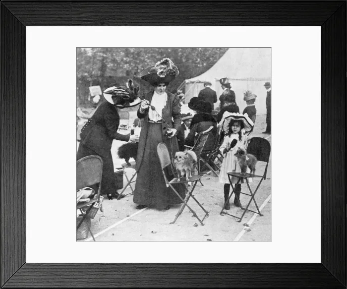 Framed Print : Perfuming probable prizewinners: dog show perfume, 1911 Framed Print : Perfuming probable prizewinners: dog show perfume, 1911