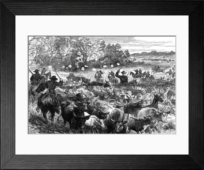 Framed Print : Basuto Gun War, 1880 - cattle recovered Framed Print : Basuto Gun War, 1880 - cattle recovered