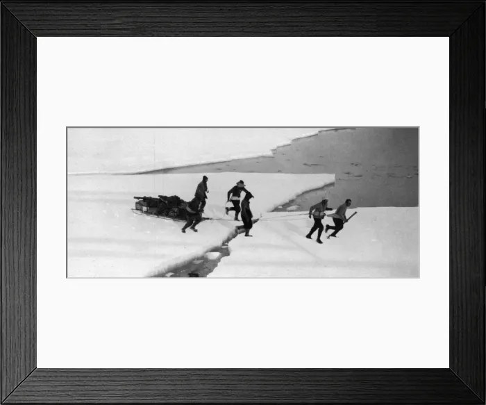 Framed Print : Scott Polar Expedition 1910 - 1912 - pulling sledge over ice Framed Print : Scott Polar Expedition 1910 - 1912 - pulling sledge over ice