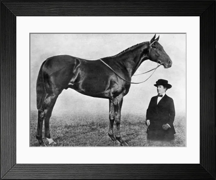 Framed Print : Lady James Douglas and her horse, Gainsborough