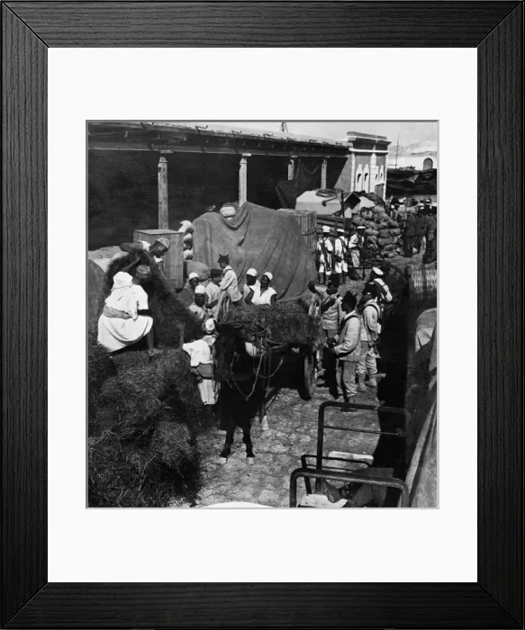 Framed Print : Turco-Italian War, 1911 - loading fodder for Italian troops Framed Print : Turco-Italian War, 1911 - loading fodder for Italian troops