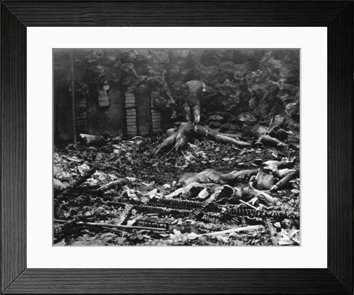 Framed Print : Charred wax figures after fire at Madame Tussauds, 1925 Framed Print : Charred wax figures after fire at Madame Tussauds, 1925
