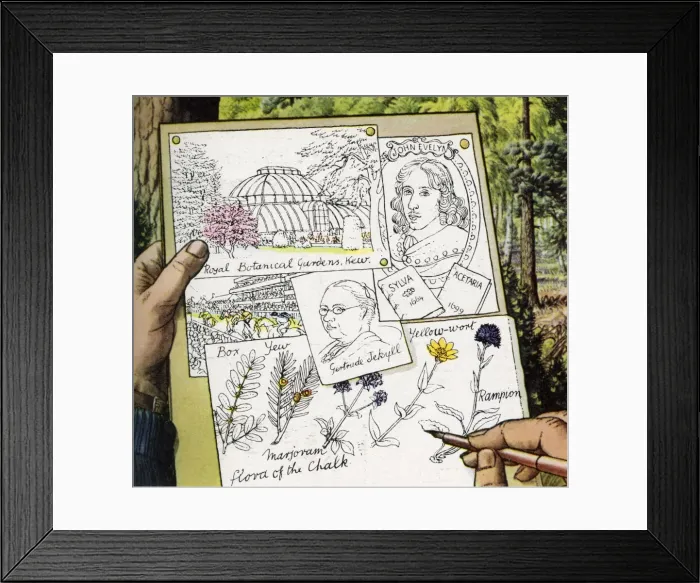 Framed Print : Gertrude Jekyll - Garden designer Framed Print : Gertrude Jekyll - Garden designer