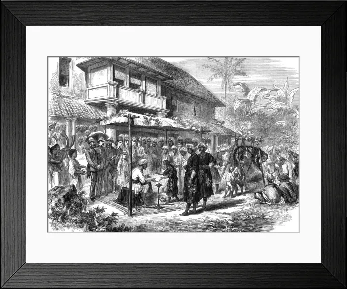 Framed Print : A tiger wedding in Coorg, India Framed Print : A tiger wedding in Coorg, India