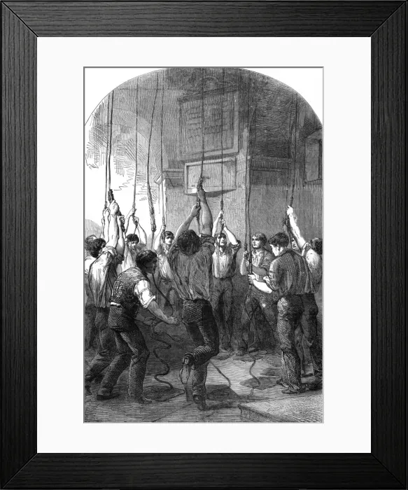 Framed Print : The Peace Celebrations, 1856
