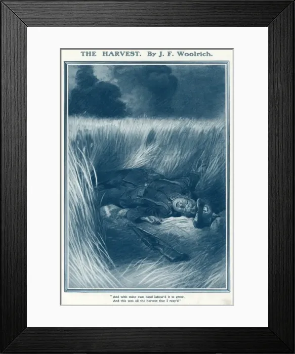 Framed Print : A dead German, lying symbolically in a field of wheat Framed Print : A dead German, lying symbolically in a field of wheat