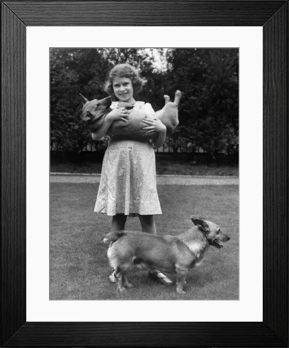 Framed Print : Princess Elizabeth and corgis Framed Print : Princess Elizabeth and corgis