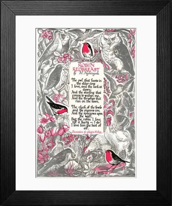 Framed Print : Robin Redbreast