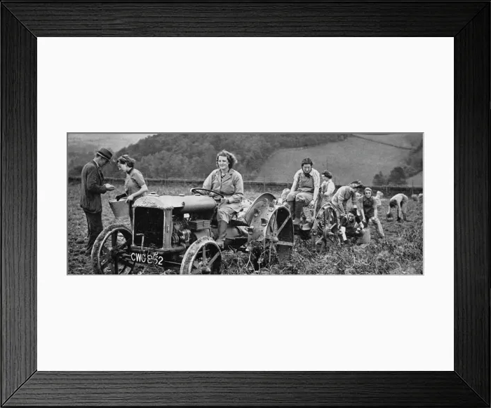 Framed Print : Womens Land Army in action, 1939 Framed Print : Womens Land Army in action, 1939