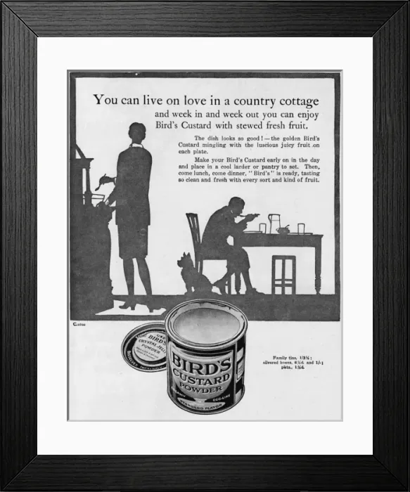 Framed Print : Birds Custard advertisement 1927