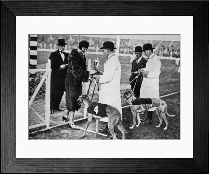 Framed Print : Greyhound racing at White City, 1927 Framed Print : Greyhound racing at White City, 1927