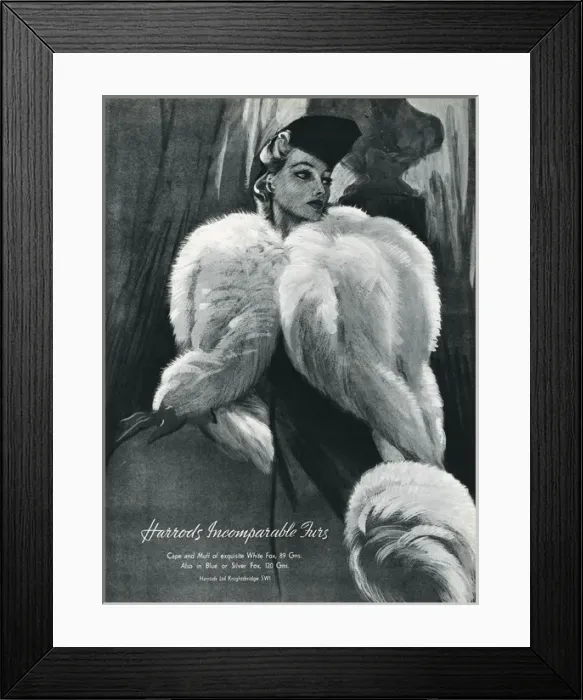 Framed Print : Advert for Harrods white fox capes and muffs 1937 Framed Print : Advert for Harrods white fox capes and muffs 1937