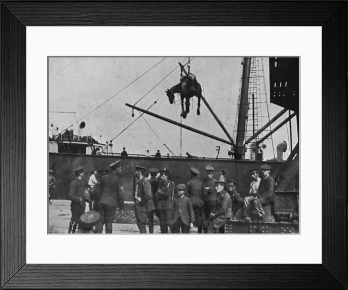 Framed Print : British Expeditionary Force in Boulogne Framed Print : British Expeditionary Force in Boulogne