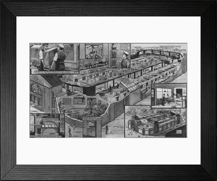 Framed Print : New Reptile House at London Zoo by G H Davis Framed Print : New Reptile House at London Zoo by G H Davis