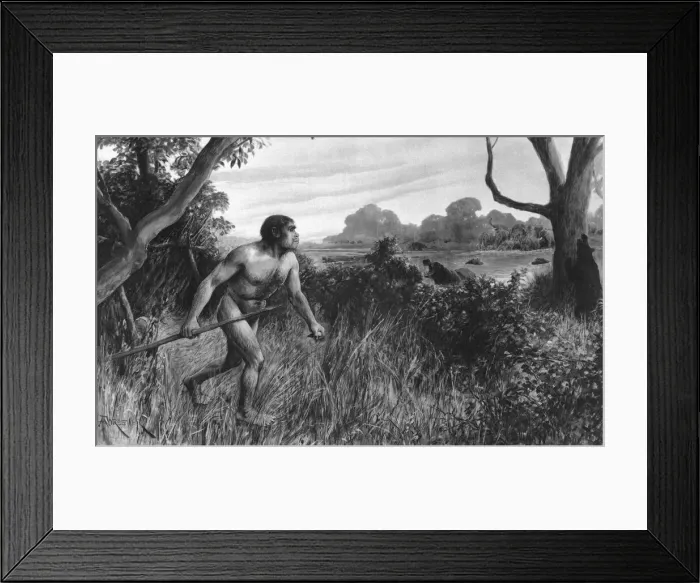 Framed Print : Piltdown Man reconstructed, 1912 Framed Print : Piltdown Man reconstructed, 1912