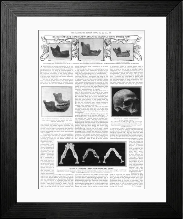 Framed Print : Piltdown Man article- The most ancient inhabitant of England Framed Print : Piltdown Man article- The most ancient inhabitant of England