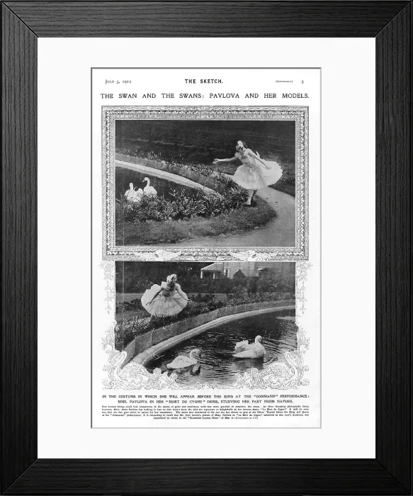 Framed Print : Command Death Swan Dance Dancing Dances Dancer
