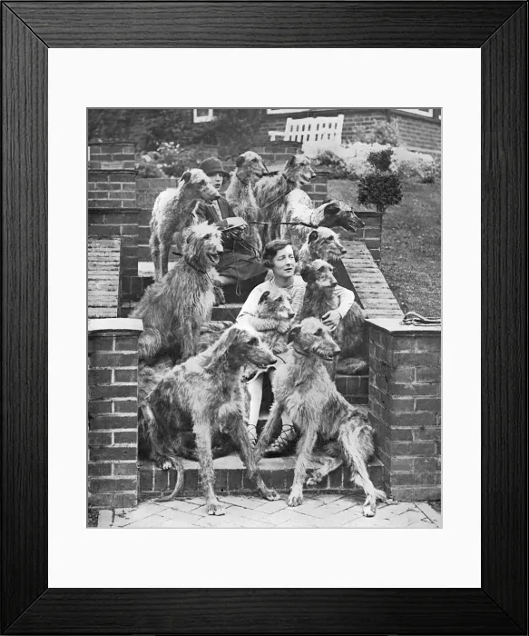 Framed Print : Miss Richmond and her deerhounds Framed Print : Miss Richmond and her deerhounds
