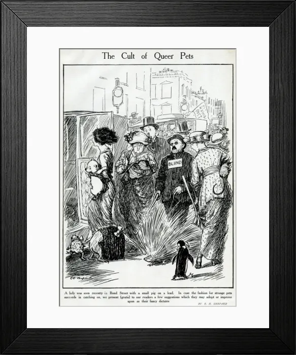 Framed Print : Cartoon, The Cult of Queer Pets Framed Print : Cartoon, The Cult of Queer Pets