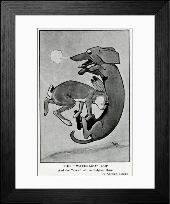 Framed Print : Cartoon, The Waterloo Cup, WW1 Framed Print : Cartoon, The Waterloo Cup, WW1