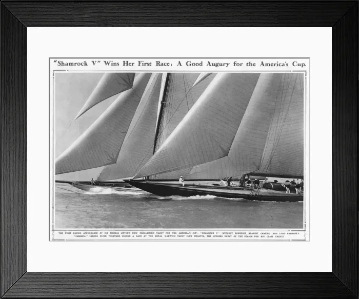 Framed Print : Shamrock V races Framed Print : Shamrock V races