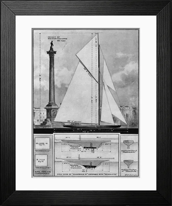 Framed Print : Shamrock IV Framed Print : Shamrock IV