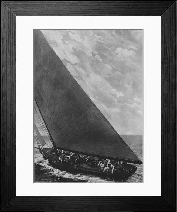 Framed Print : Shamrock IV
