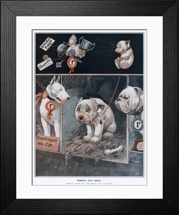 Framed Print : Bonzos dud show by George Studdy Framed Print : Bonzos dud show by George Studdy
