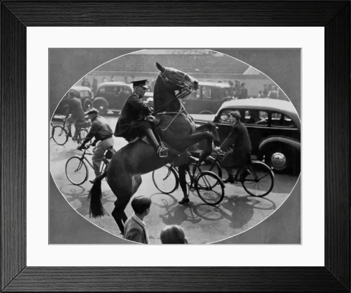 Framed Print : Accustoming a horse to traffic before the Coronation Framed Print : Accustoming a horse to traffic before the Coronation