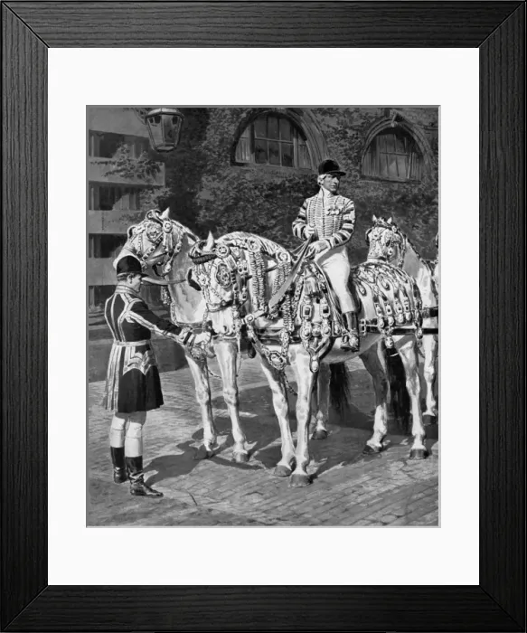 Framed Print : The Windsor Greys in their Coronation Harness Framed Print : The Windsor Greys in their Coronation Harness