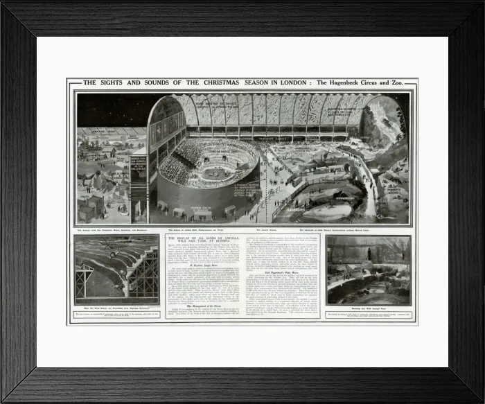 Framed Print : Hagenbeck Circus and Zoo in London Framed Print : Hagenbeck Circus and Zoo in London
