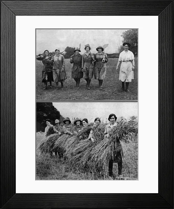 Framed Print : Land Girls bringing in the harvest Framed Print : Land Girls bringing in the harvest