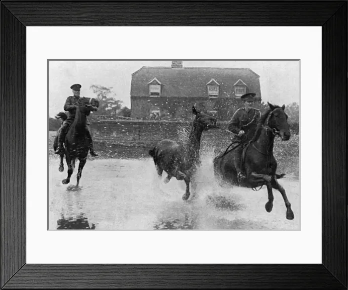 Framed Print : Breaking in colts for the Army, WW1 Framed Print : Breaking in colts for the Army, WW1