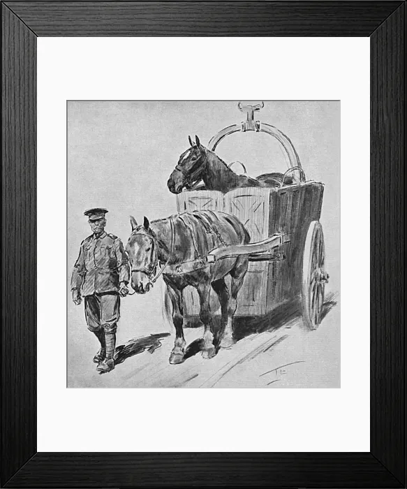 Framed Print : Horse ambulance, First World War Framed Print : Horse ambulance, First World War