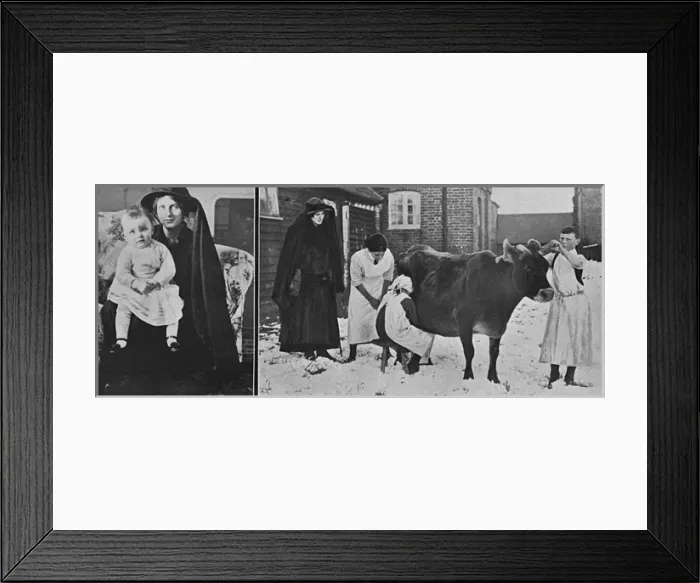Framed Print : Lady Petres milking school, WW1