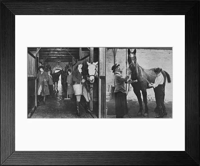 Framed Print : Women working at convalescent remount depot, WW1 Framed Print : Women working at convalescent remount depot, WW1