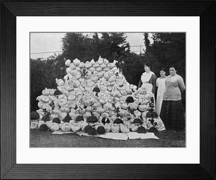 Framed Print : Christmas Puddings for the Front Framed Print : Christmas Puddings for the Front