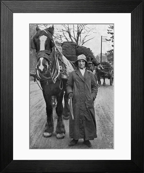 Framed Print : Lady with carthorse and coal, WW1