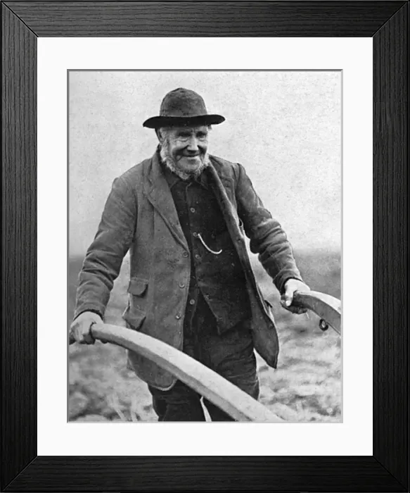 Framed Print : War work for the elderly, WW1 Framed Print : War work for the elderly, WW1