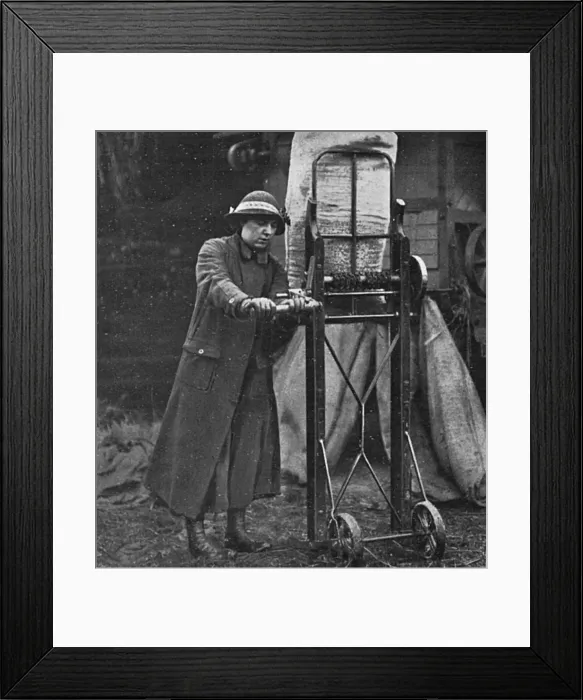 Framed Print : Land girl in Lincolnshire, WW1 Framed Print : Land girl in Lincolnshire, WW1