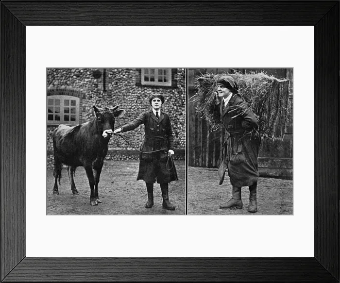 Framed Print : Women working land in Cley, Norfolk, WW1