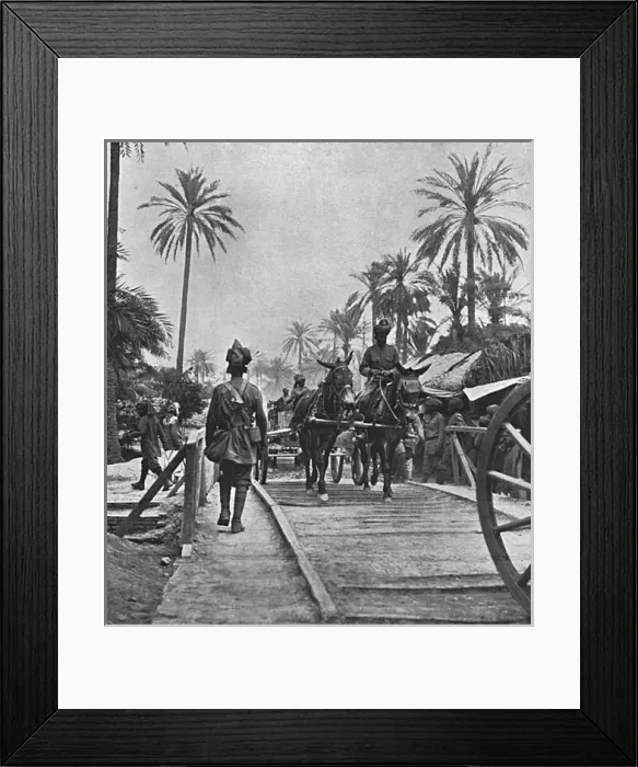 Framed Print : Indian transport in Mesopotamia, 1916