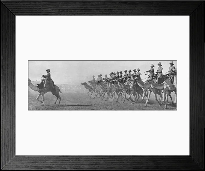 Framed Print : British Camel Corps in the Sudan, 1916 Framed Print : British Camel Corps in the Sudan, 1916